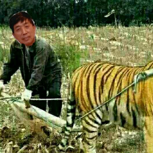 易道星光