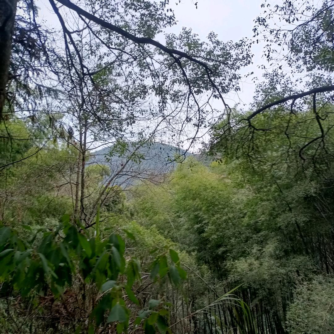 在夏茅生活的人