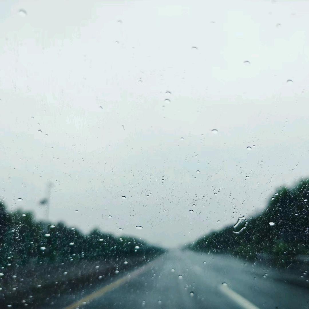 爱上棉花的味道