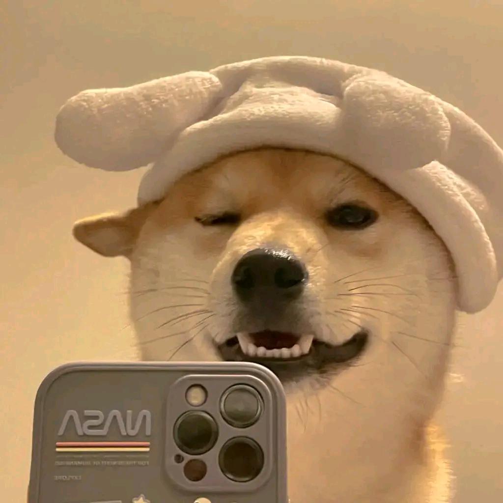 独往归途