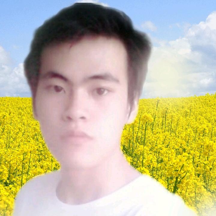 龙爱专业找蜂小哥