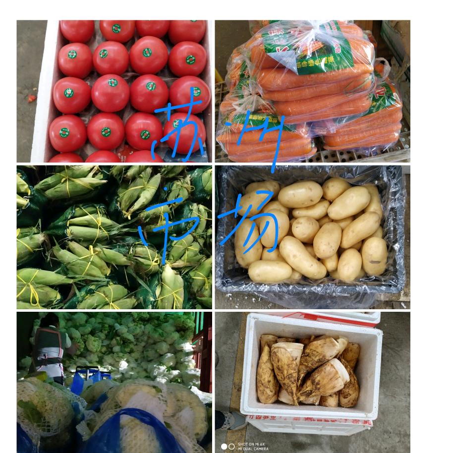 苏州蔬菜批发小伍代卖