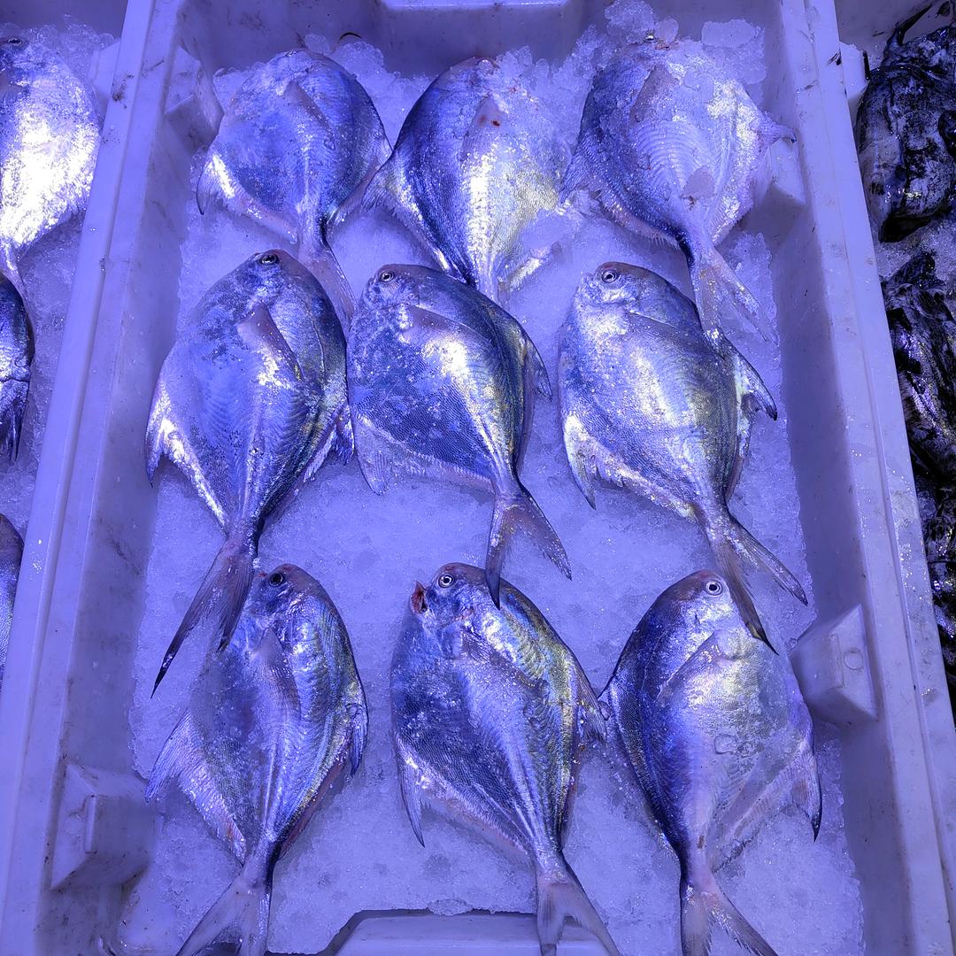 虹桥雨中雨海鲜店