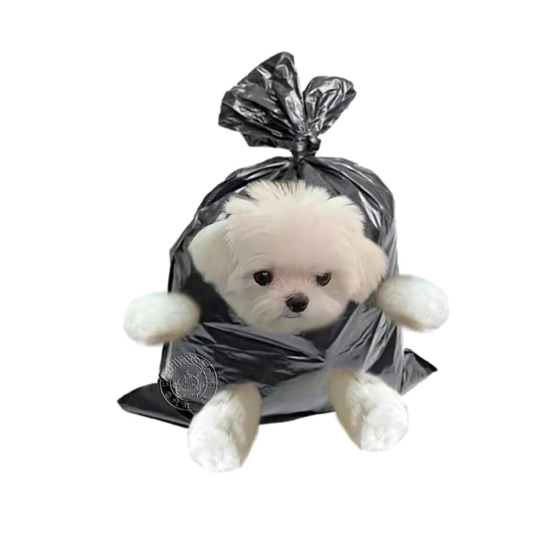 阿轩同学👧🏻