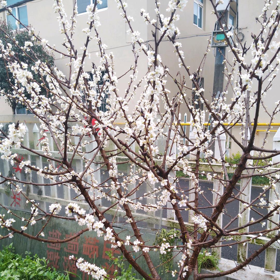 好事成双