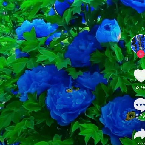 刘顺兴