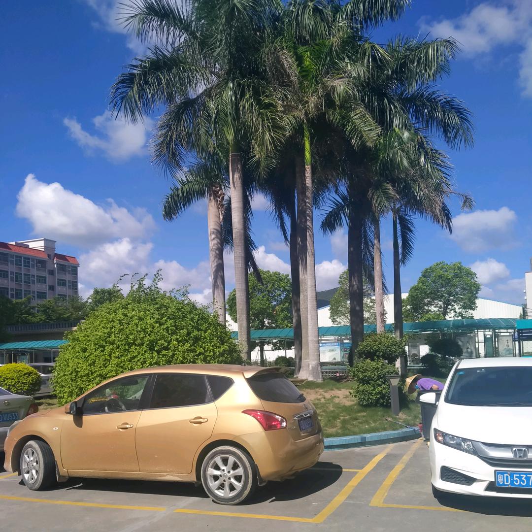 我姓陈，吃人陈。