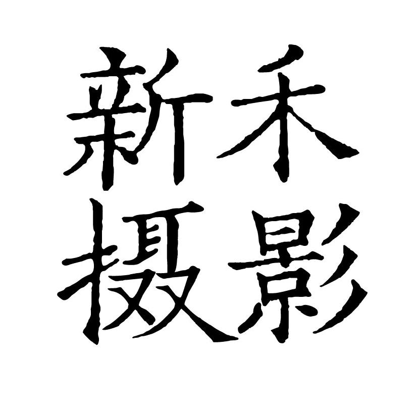 新禾视觉婚纱摄影品牌形象店官方号