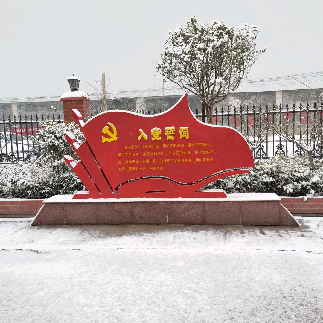 仰望大海
