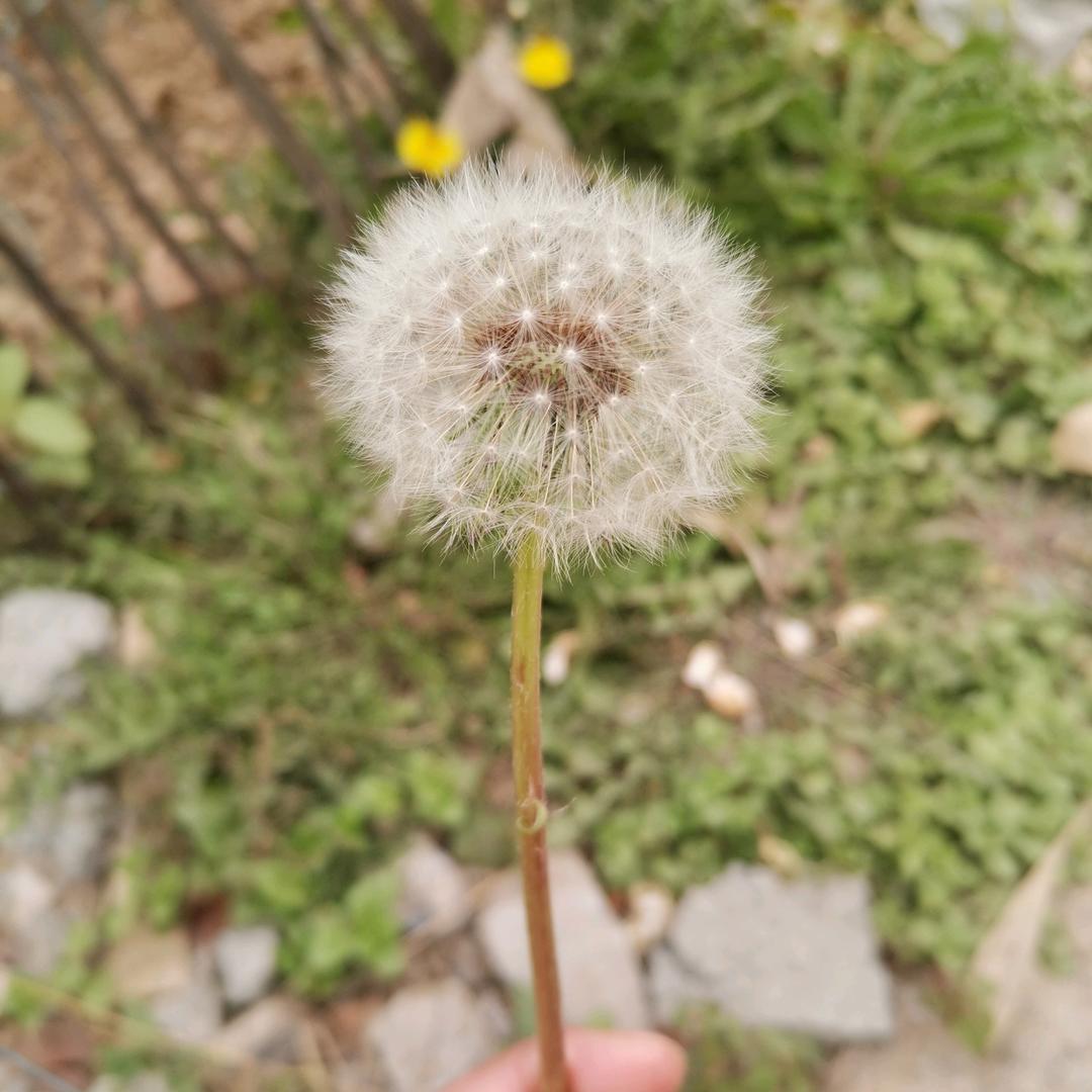 大诚子小可爱