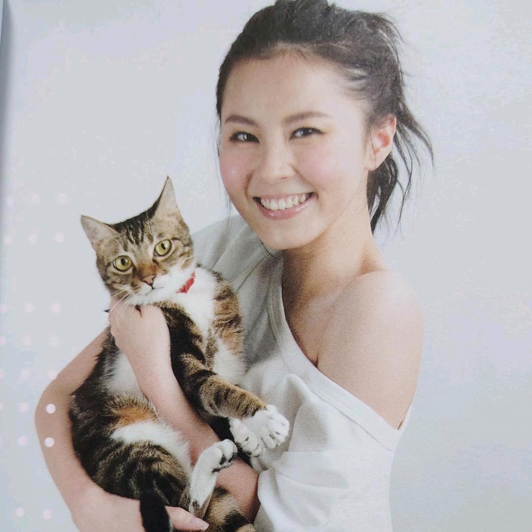 yung (yungandyu)