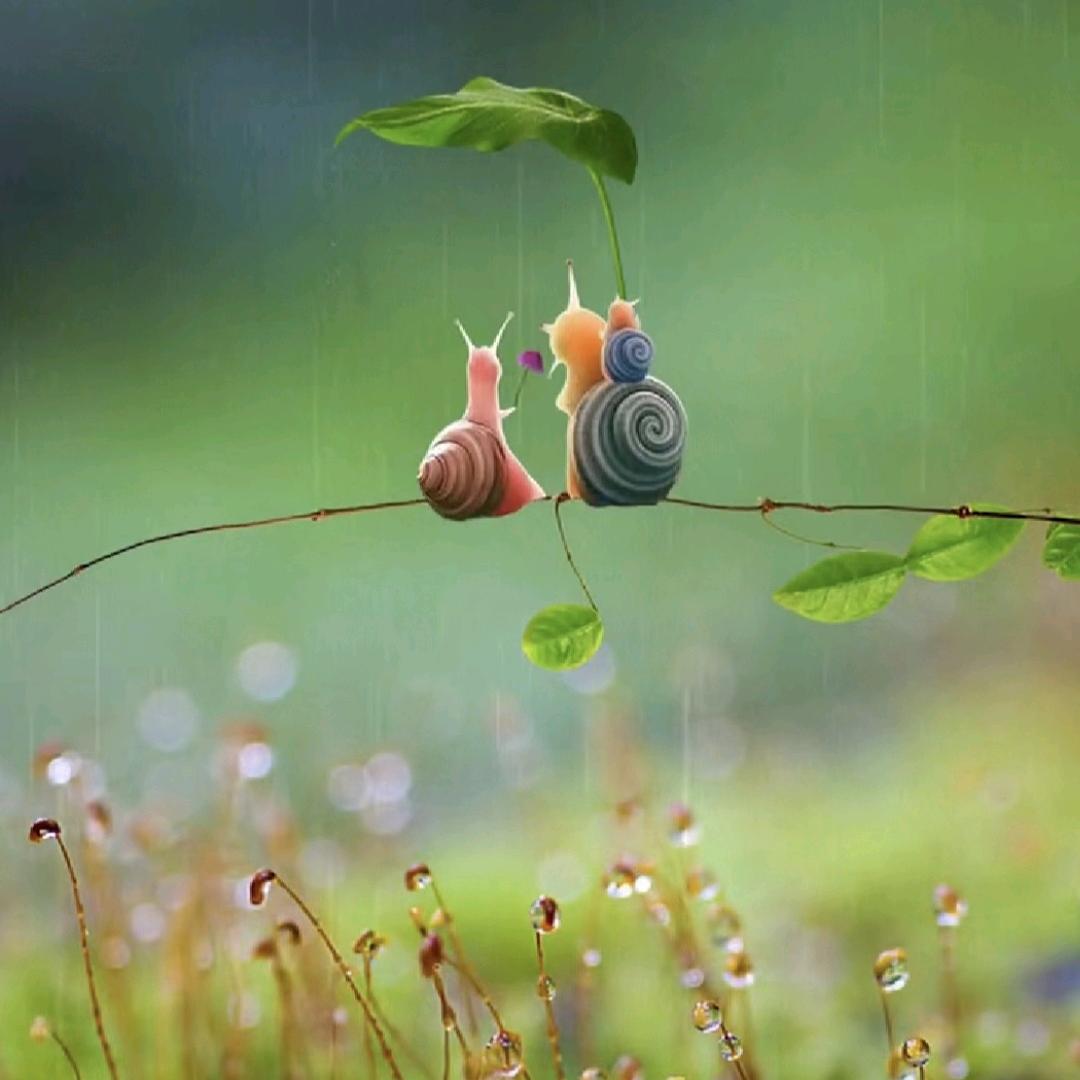 用我的肩膀  做你的枕头