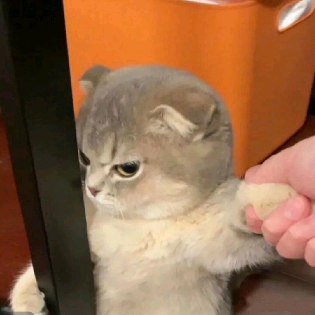 阿荒