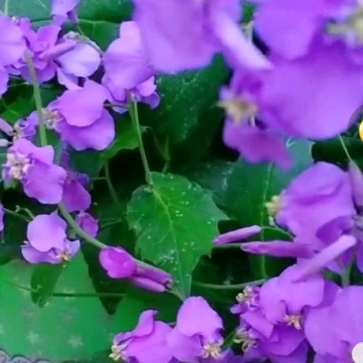 专业铺砖