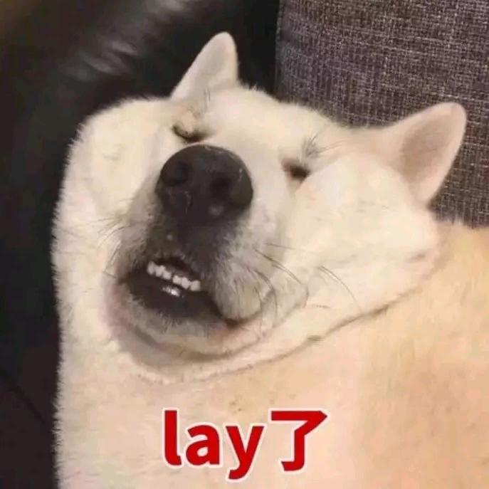 我叫陈皮皮