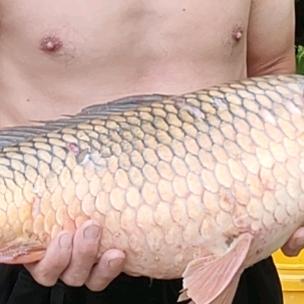 白开水