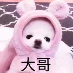 圈内小弟