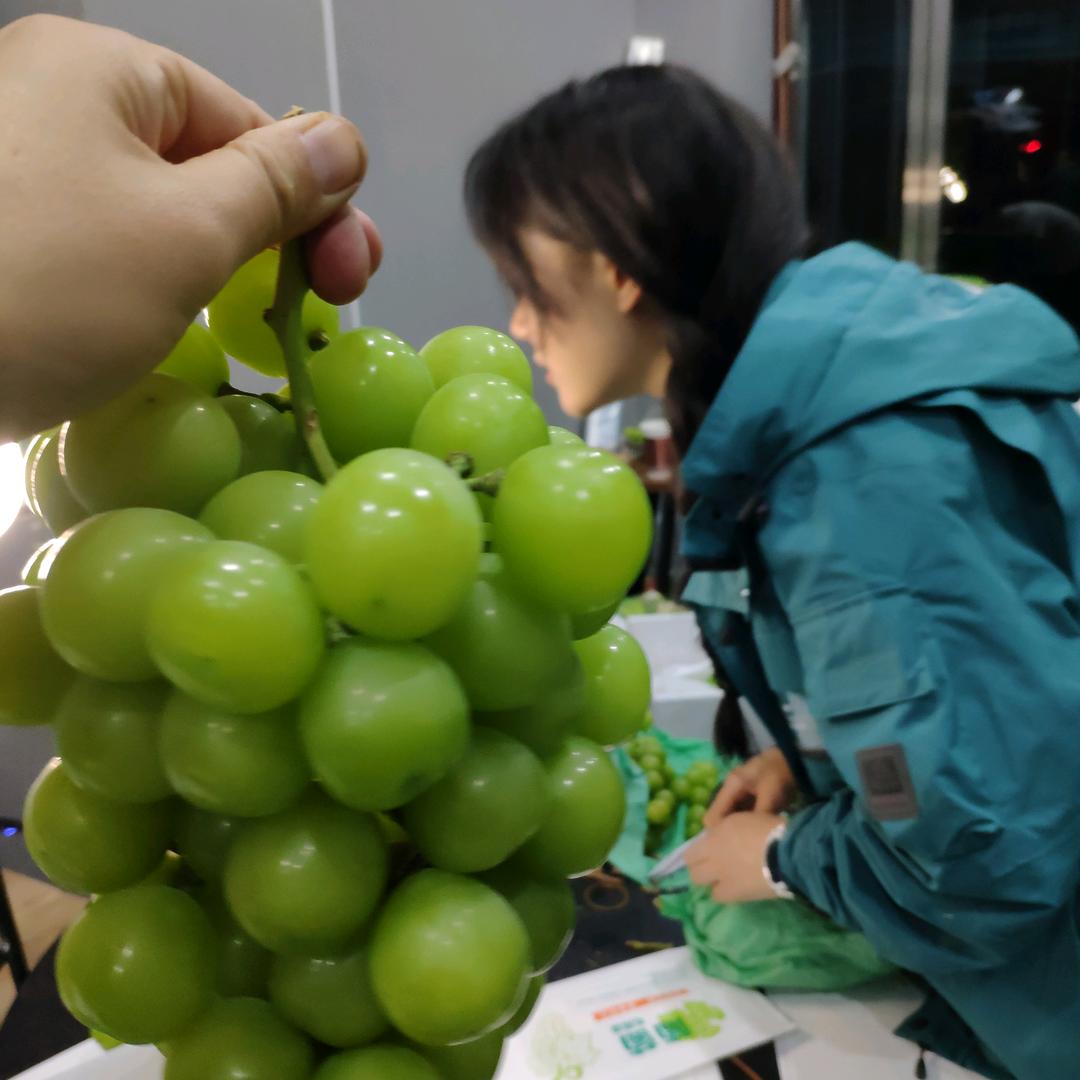 秦小满(青春版)