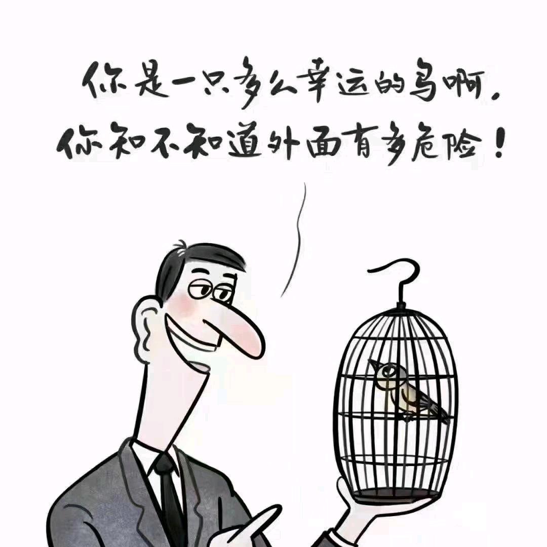 十年