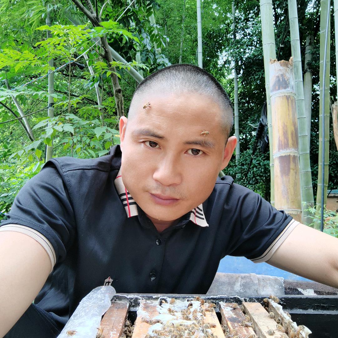 傅裕(蜜蜂的主人)