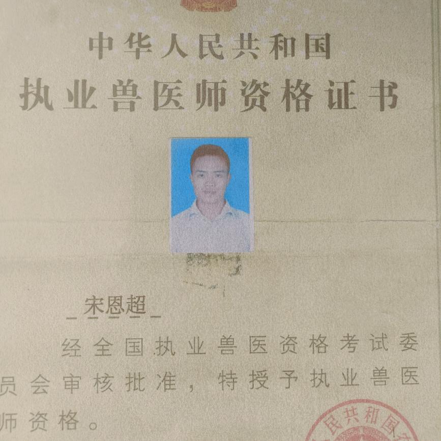 职业兽医师宋恩超