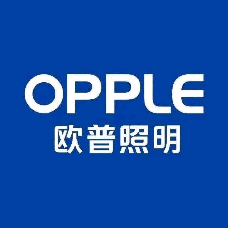 光头彬哥