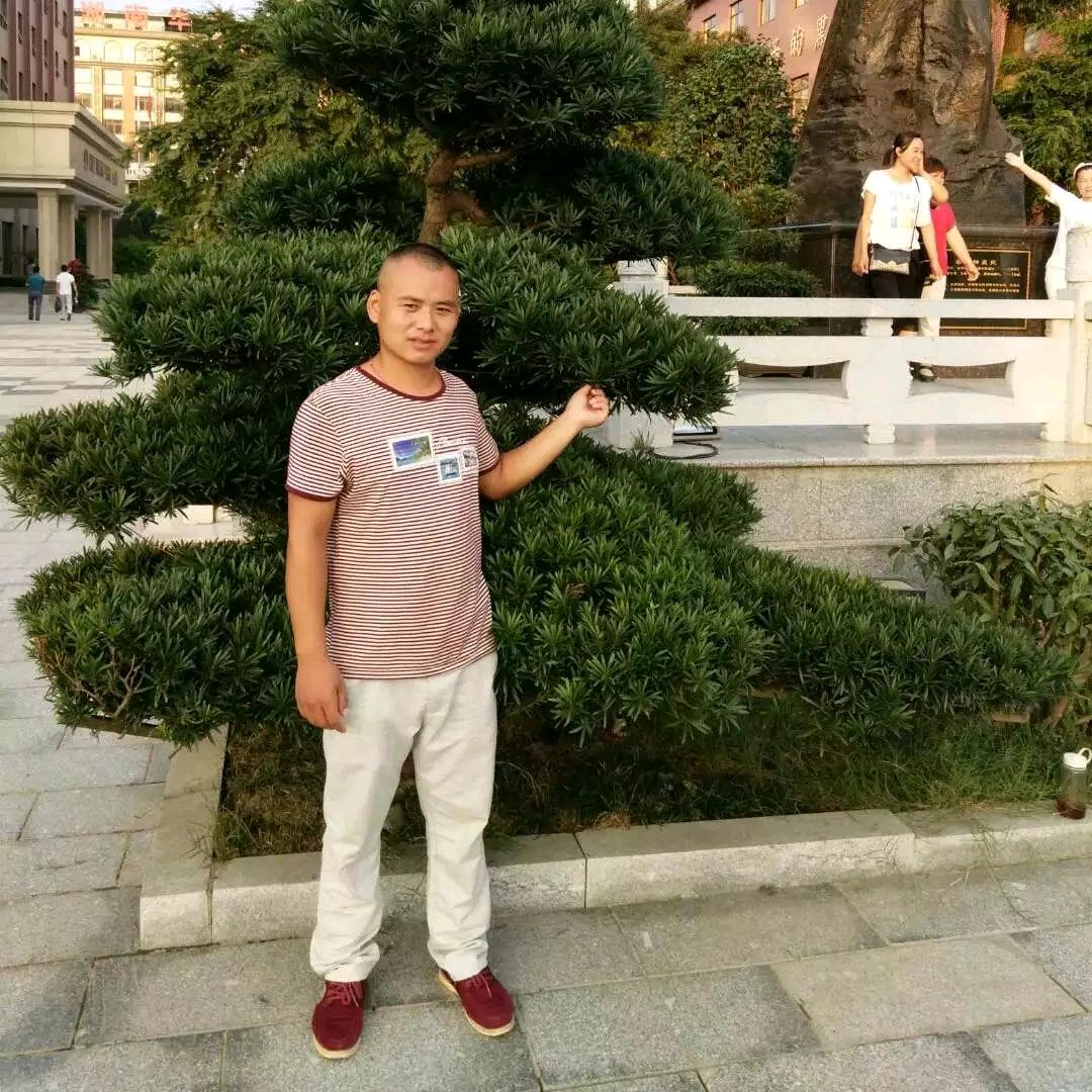 我姓李却不在你心里
