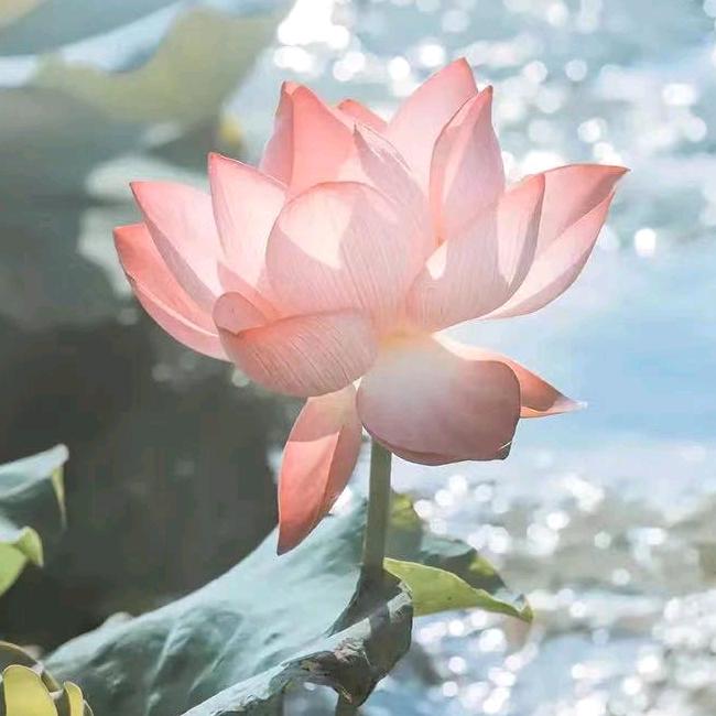 随意