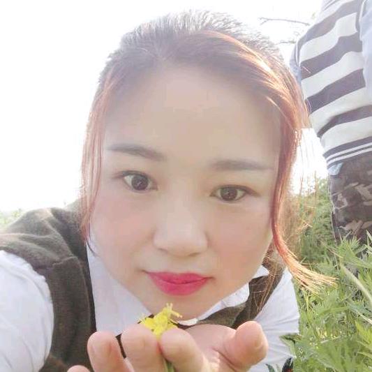 顽强的小草