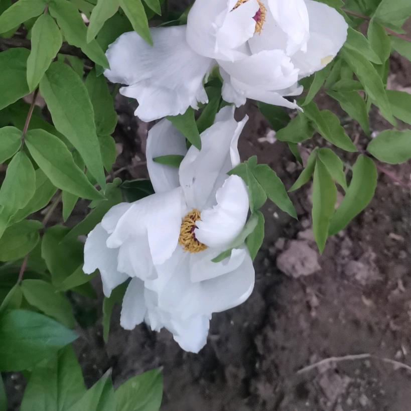 万载县爱佳护百货店