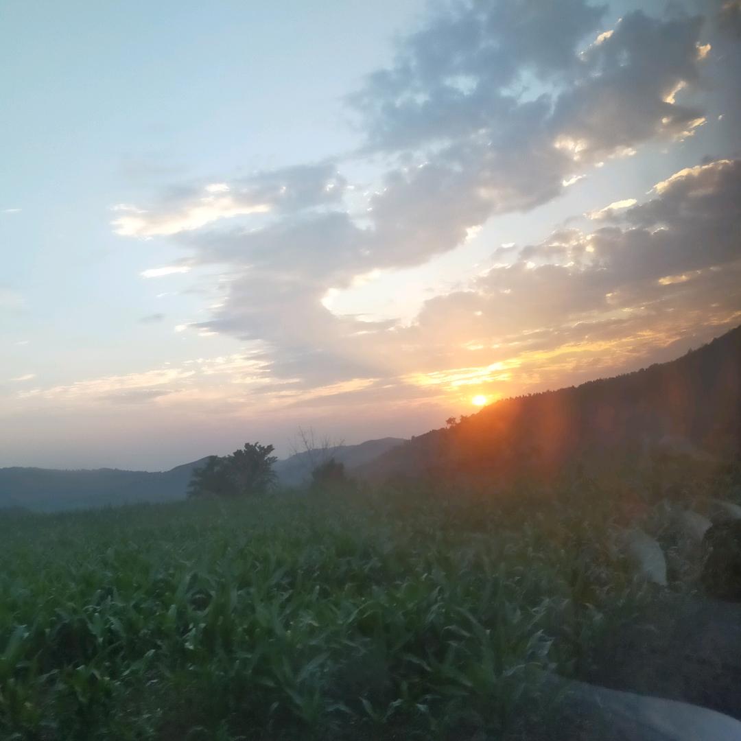 ℡柒月，大型农机