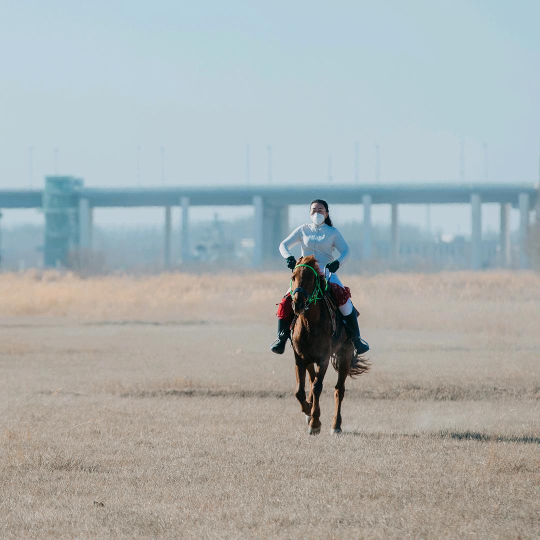 宁夏薇薇马术俱乐部