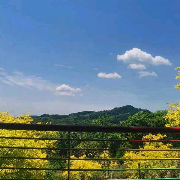 兰生幽谷无人识