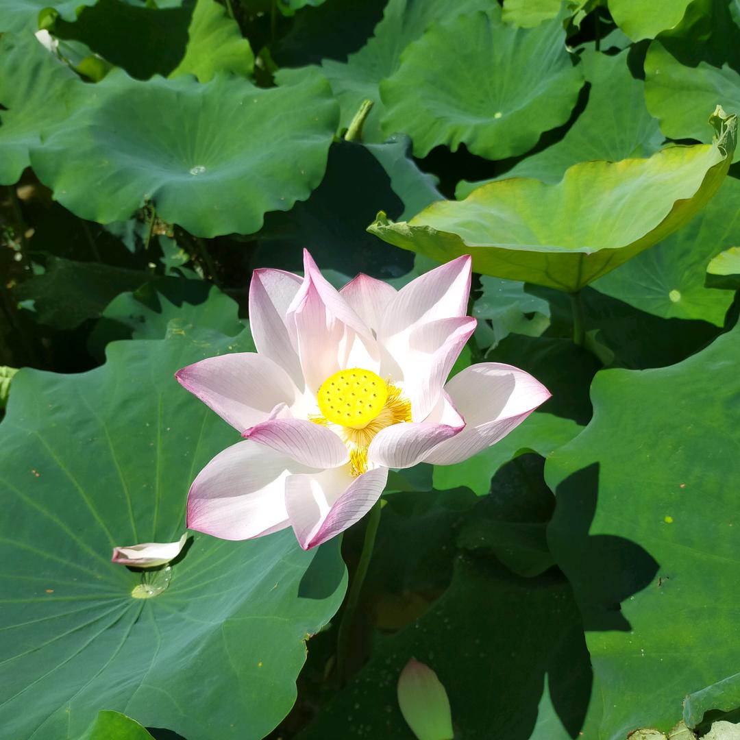 欣瑶姐姐