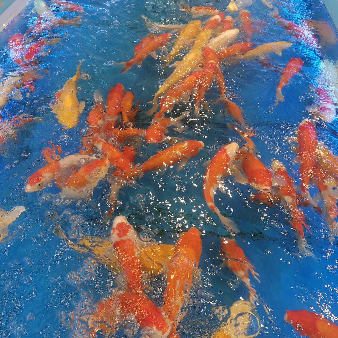 开心•快乐