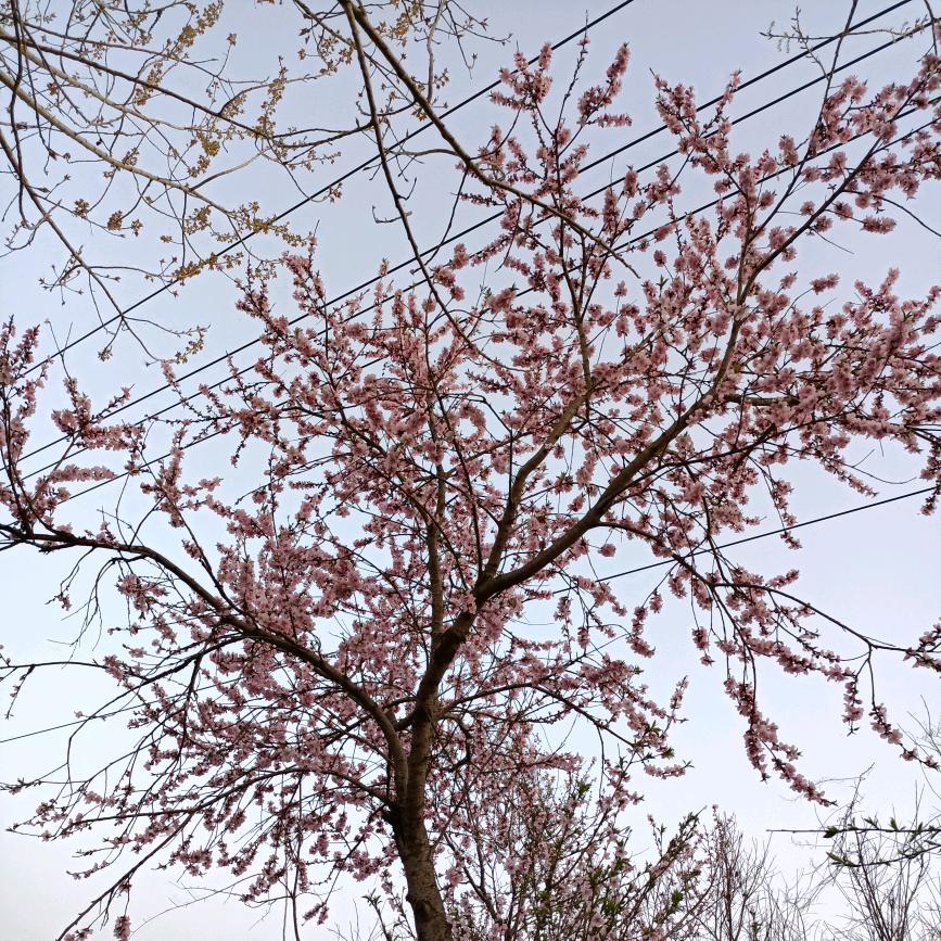 ღ清零᭄ꦿ࿐