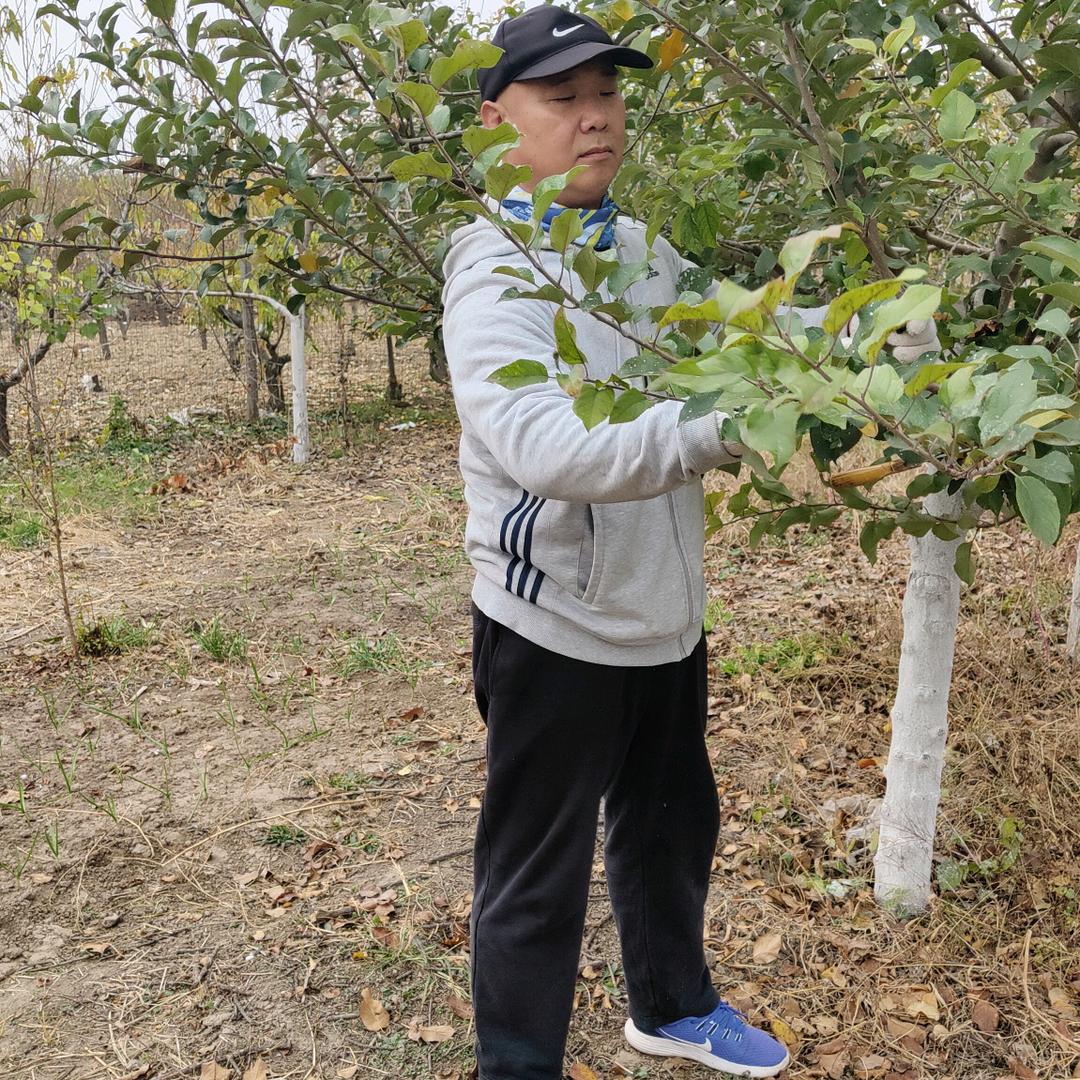 我回归