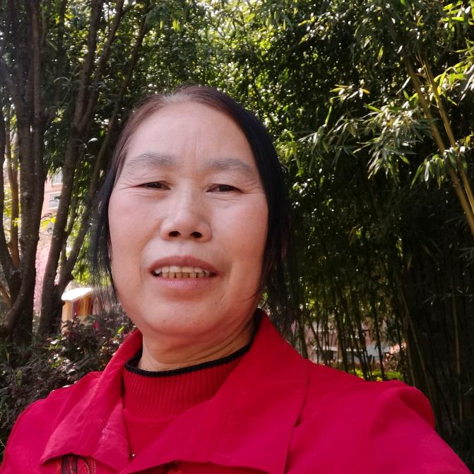 梦三姐（晩上7点半开播）