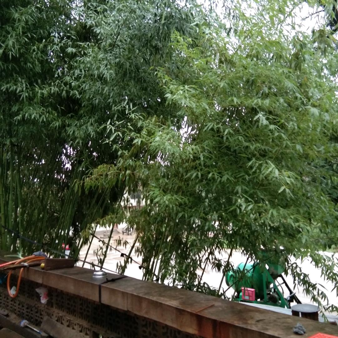 李海梅拒私聊