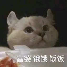 四处散播学习株头像