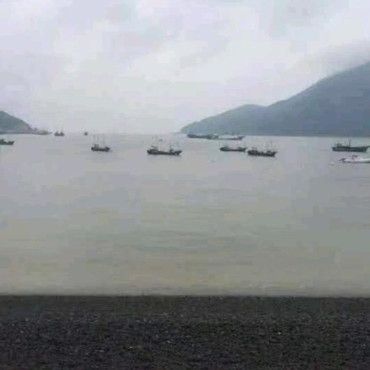 熙熙yy