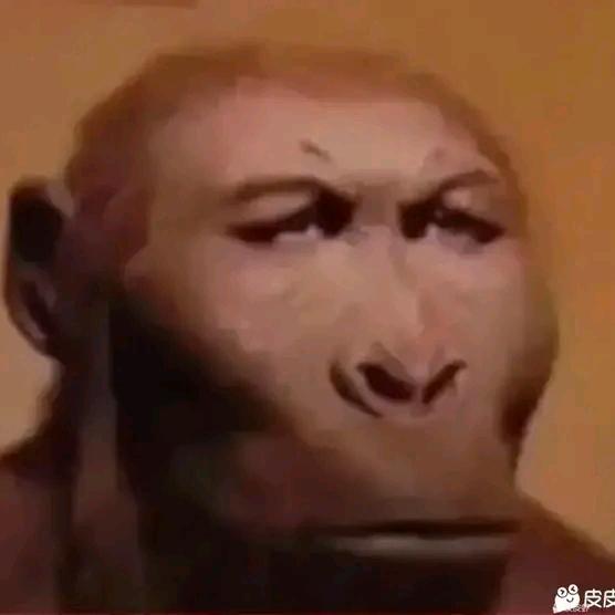 狮子琪头像