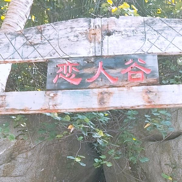 三颗星