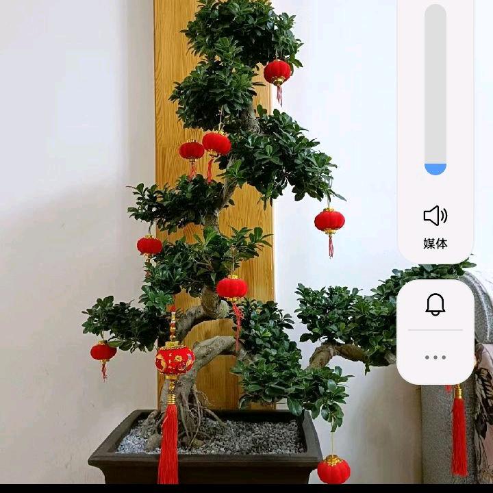 青青