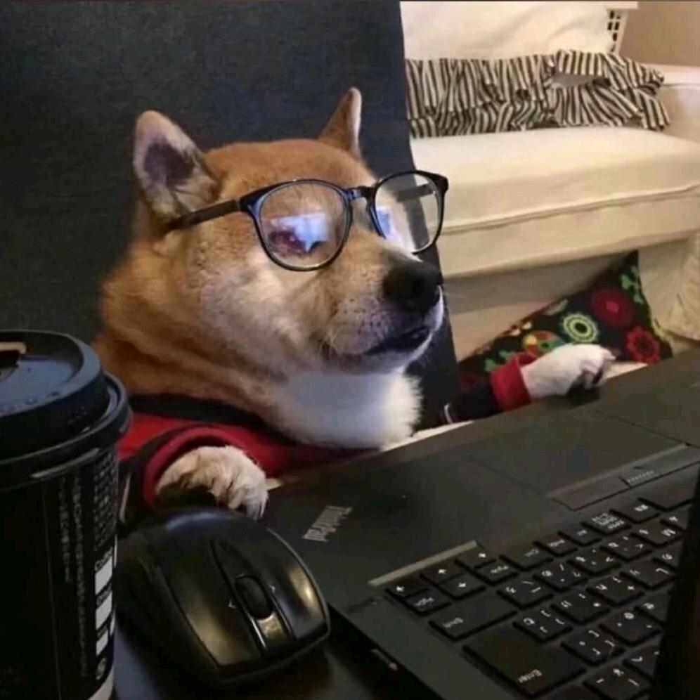 名字不要太长像我这样就可以了