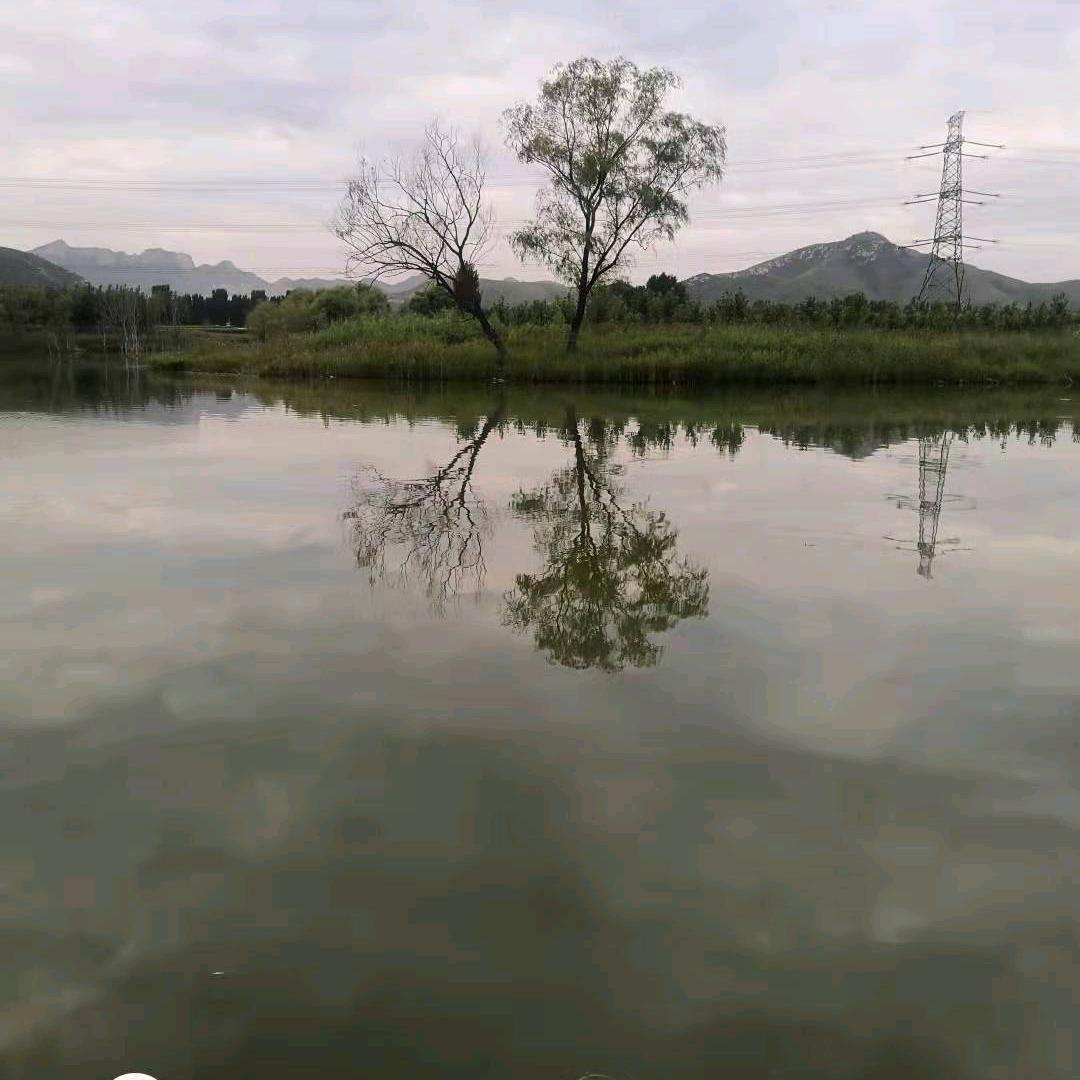 聆听