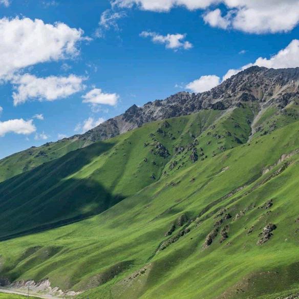 🦄衣食无忧🦄