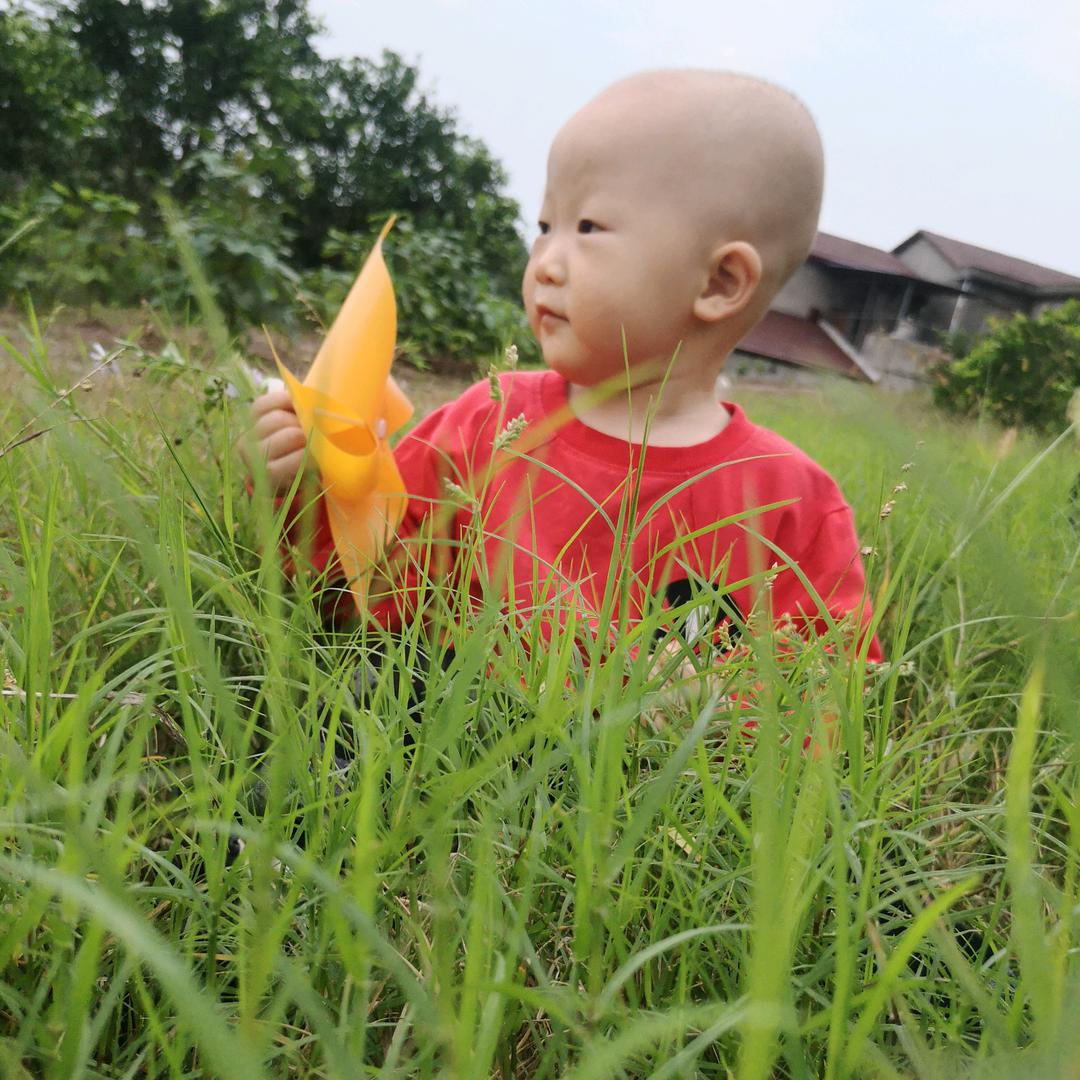 合家欢乐