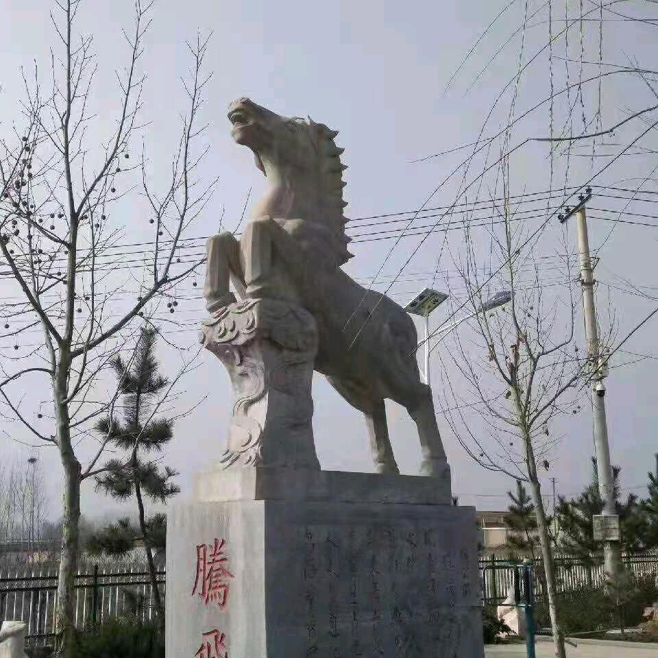 永不言败799