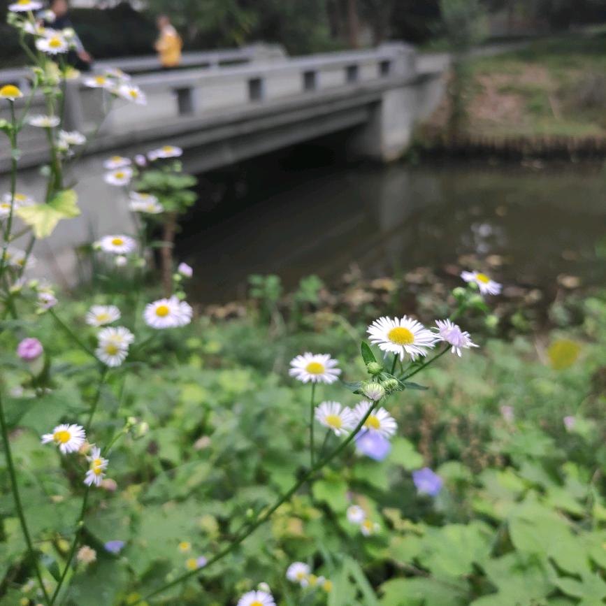 虚无